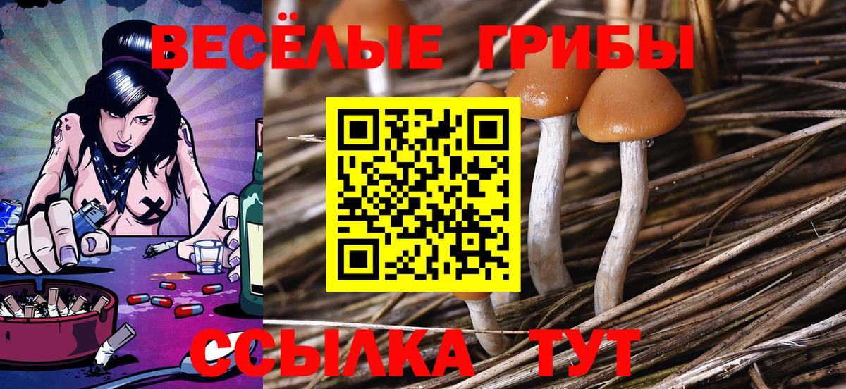 Галлюциногенные грибы Psilocybine cubensis  Вход с VPN  Энгельс 