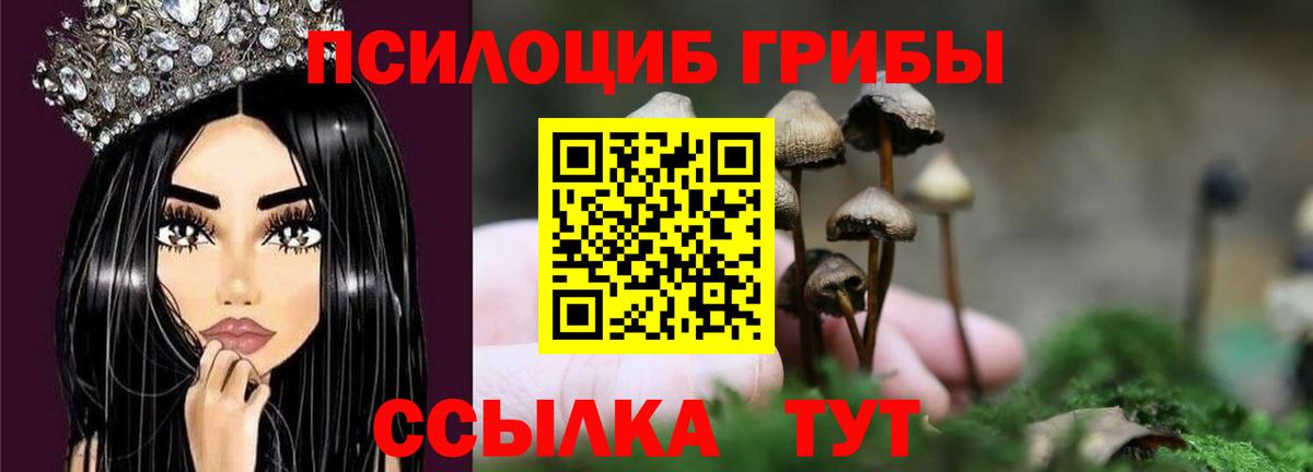 Псилоцибиновые грибы мицелий Энгельс